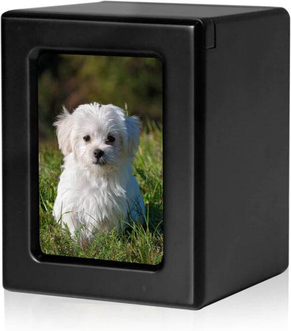 Small Dog Photo Urns Pet Cremation Box