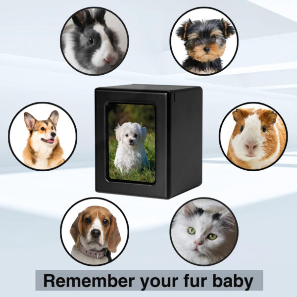 Small Dog Photo Urns Pet Cremation Box - Image 6